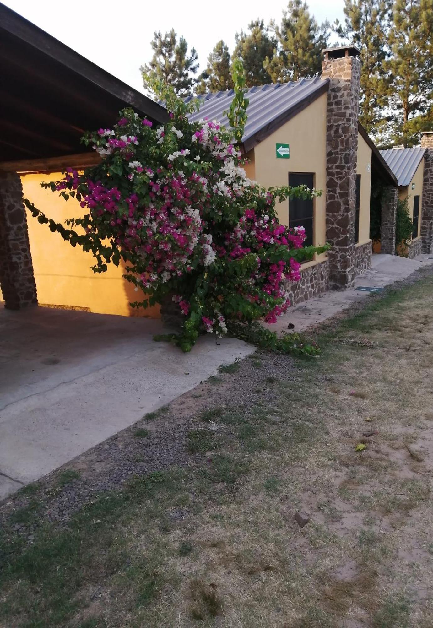 Tacuarembó La Araucana מראה חיצוני תמונה